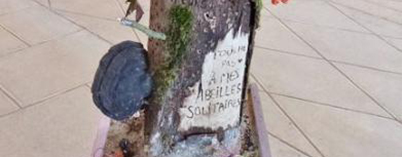 L’arbre aux abeilles, Marciac.