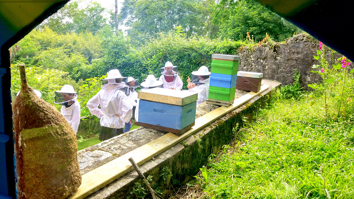 Mettre des ruchers au cœur des pratiques de gestion des espaces verts !