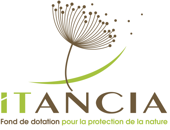 Fondation Itancia