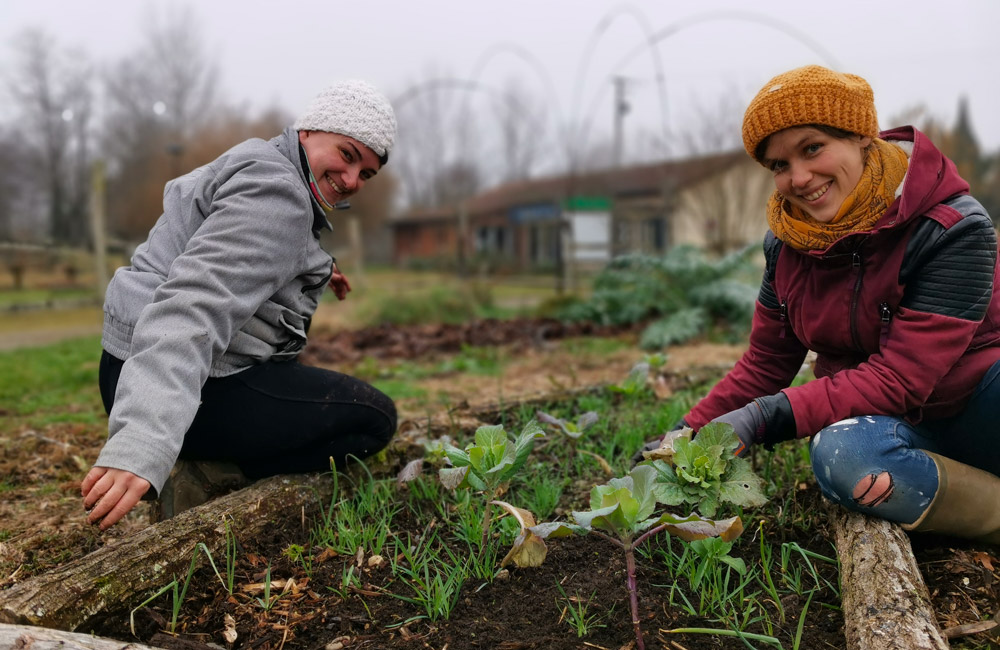 Qu’est-ce qu’on cultive ce mois-ci… au jardin Artpiculture ?