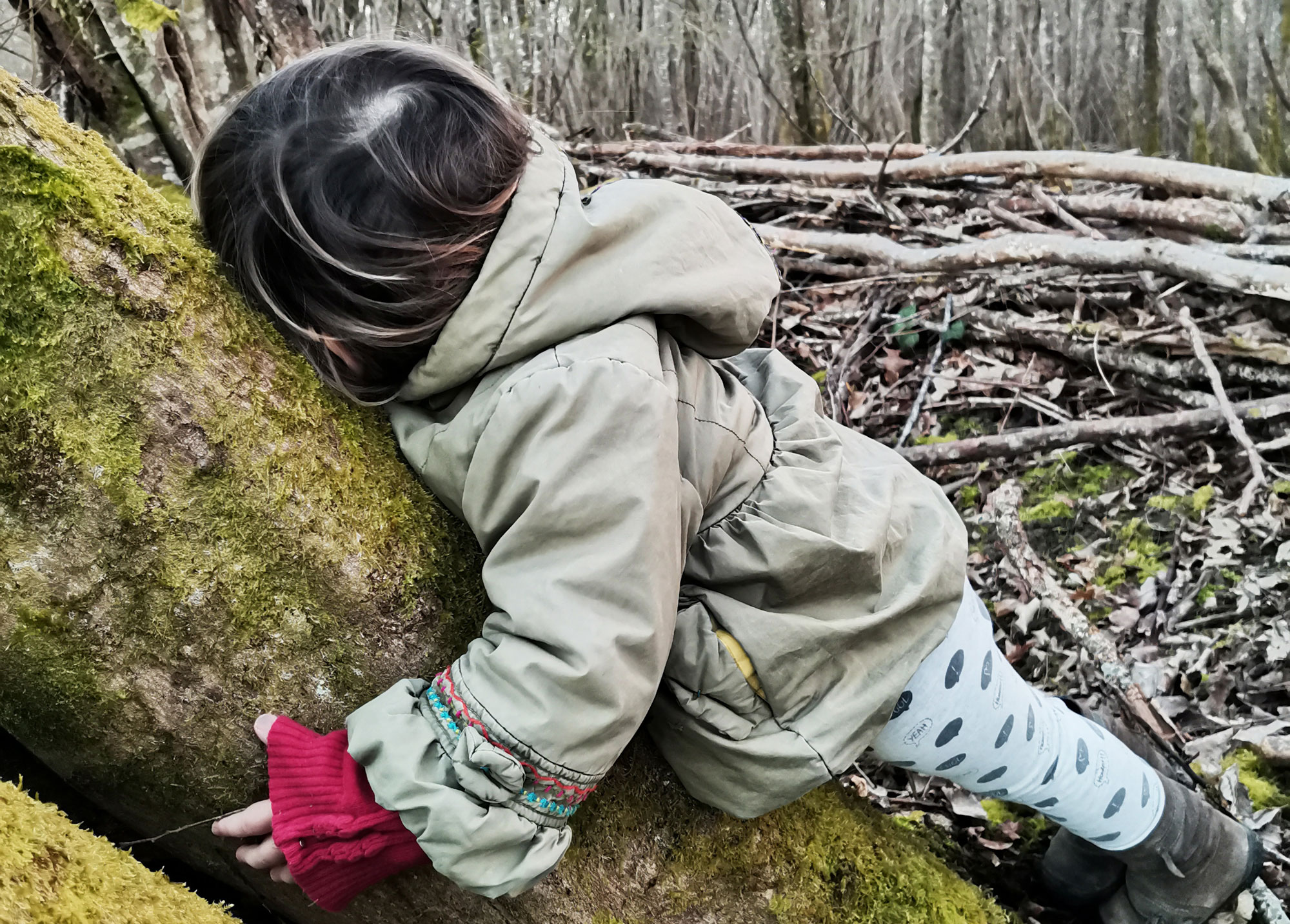 Tous nos vœux de tendresse solidaire