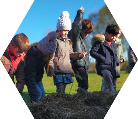 Un jardin dans mon école : la biodiversité croît à l’école