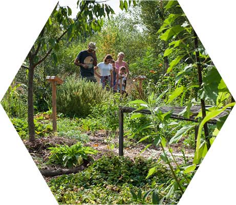 Anne dans nos jardins, Maëlys reviendra et le service civique continue !