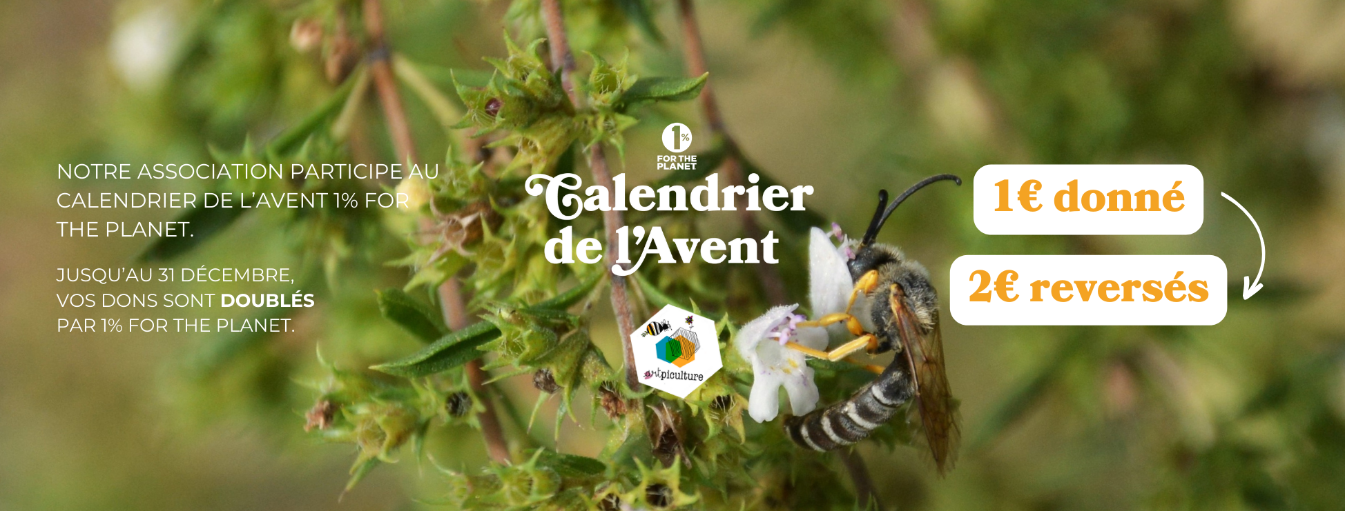 En décembre, 1=2 pour les pollinisateurs !