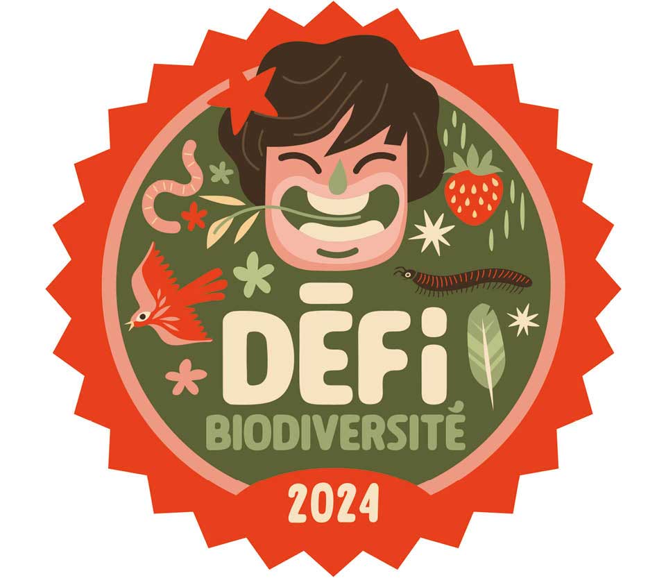 Tisser à nouveau nos liens au vivant : inscrivez-vous au 4e Défi Biodiversité d’Ecocène….