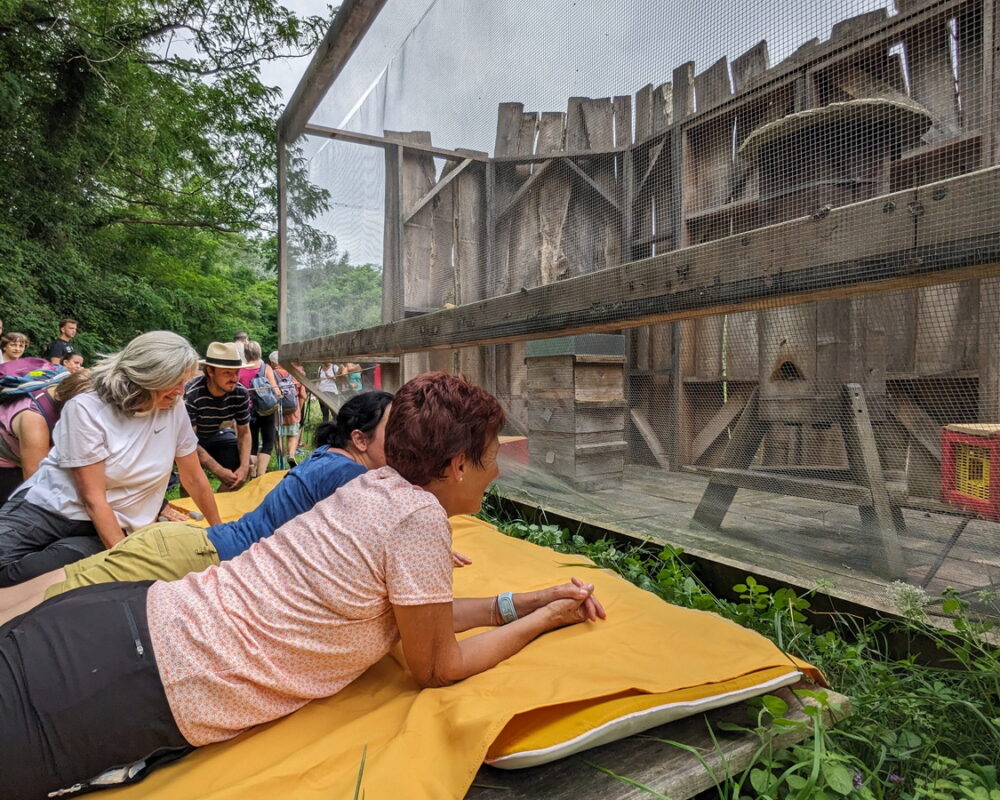 Copie de PXL_20240727_082351814