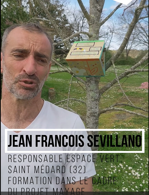 Formation espaces verts – témoignage après formation abeilles espace public