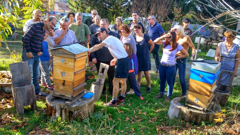 Artpiculture aux portes de la biodiversité