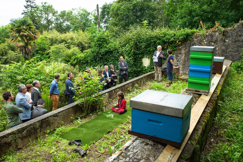 Un rucher pédagogique inauguré à Caradoc