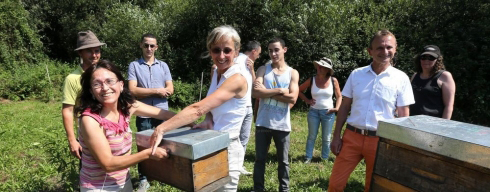 Pau : adoptez des abeilles pour sauver la planète !